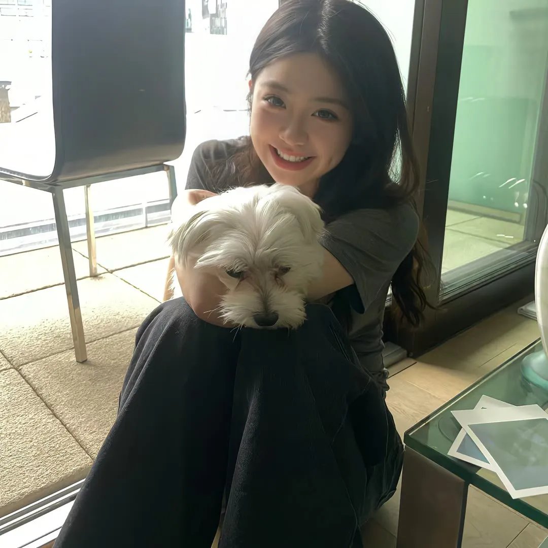 猿与超猿